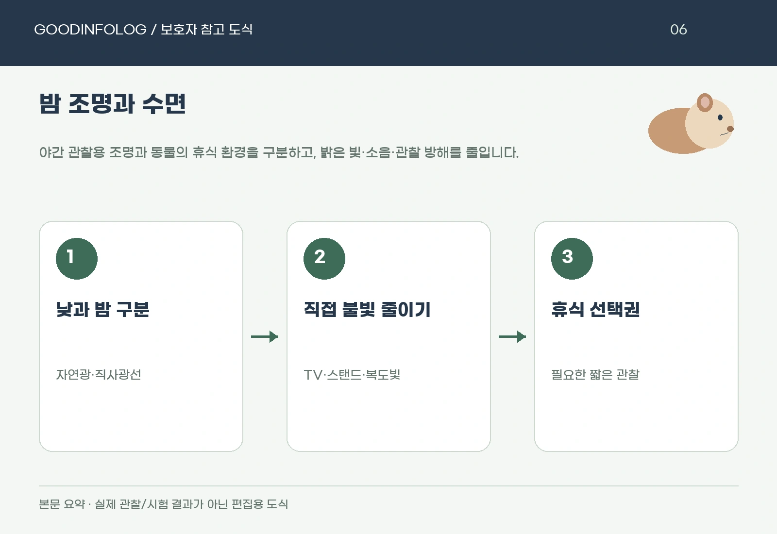 기니피그 밤 조명과 수면의 낮과 밤 구분 · 직접 불빛 줄이기 · 휴식 선택권 요약 도식