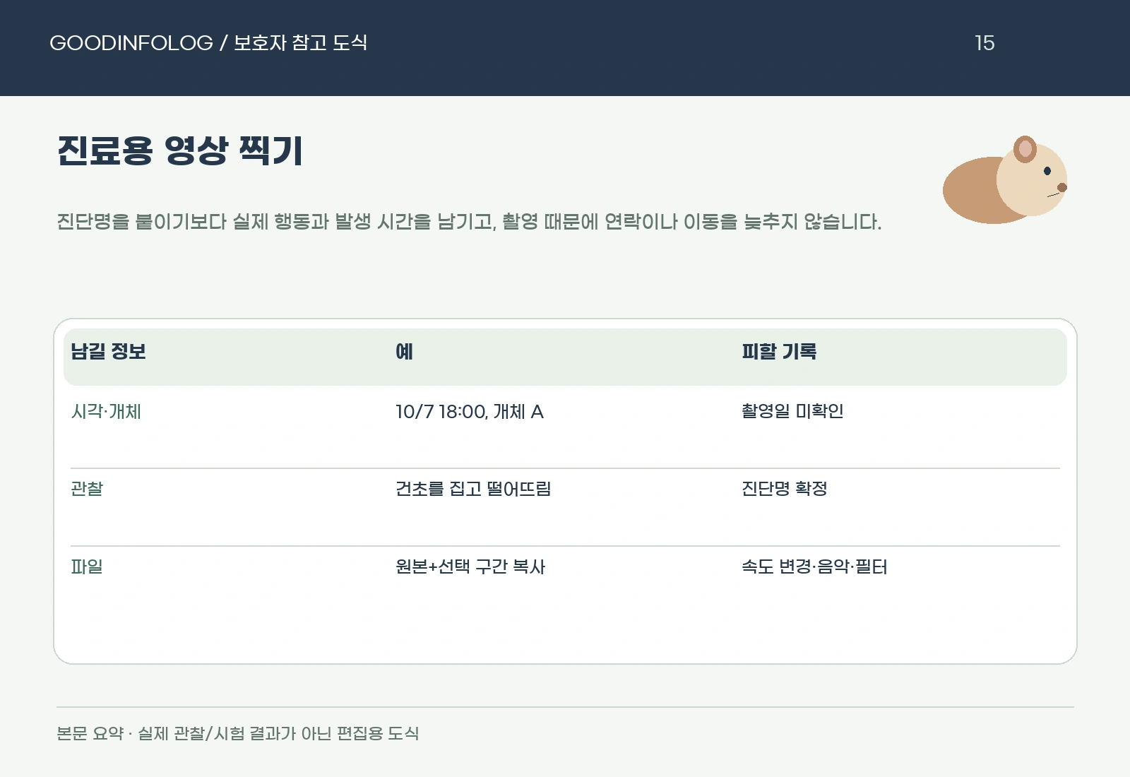 기니피그 진료용 영상 찍기의 자연 장면 · 시각·개체 표기 · 원본 보관 요약 도식